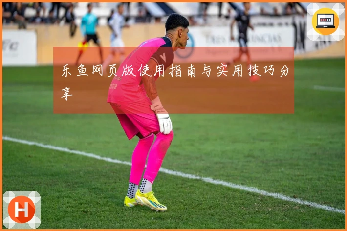 乐鱼网页版使用指南与实用技巧分享