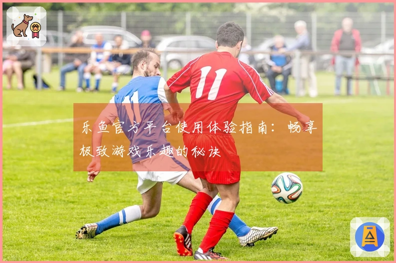 乐鱼官方平台使用体验指南：畅享极致游戏乐趣的秘诀