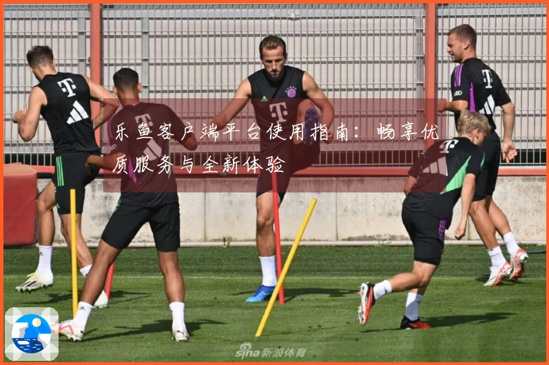 乐鱼客户端平台使用指南：畅享优质服务与全新体验