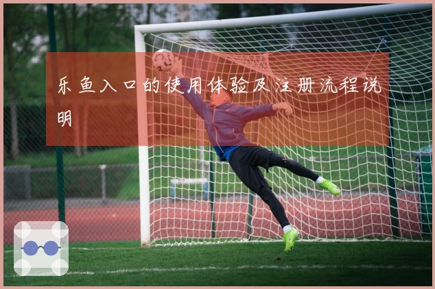 乐鱼入口的使用体验及注册流程说明
