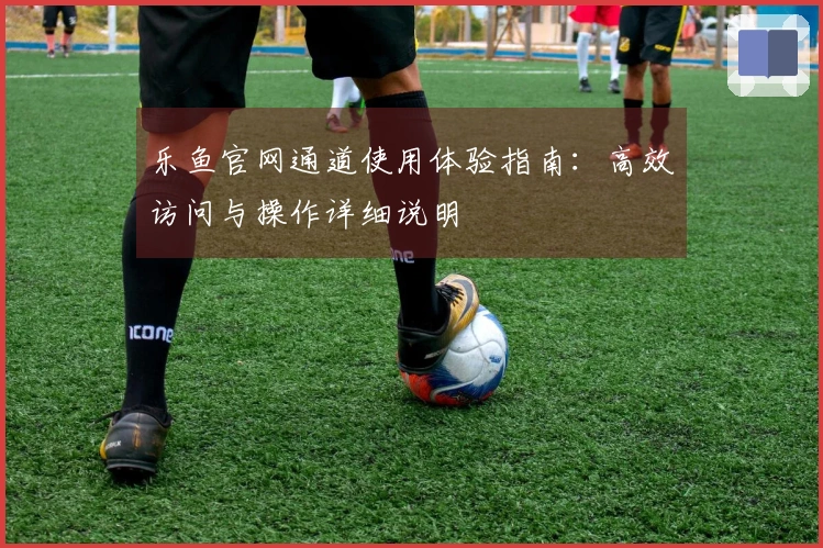 乐鱼官网通道使用体验指南：高效访问与操作详细说明