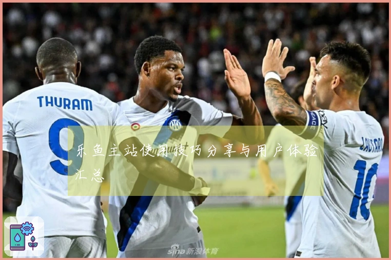 乐鱼主站使用技巧分享与用户体验汇总