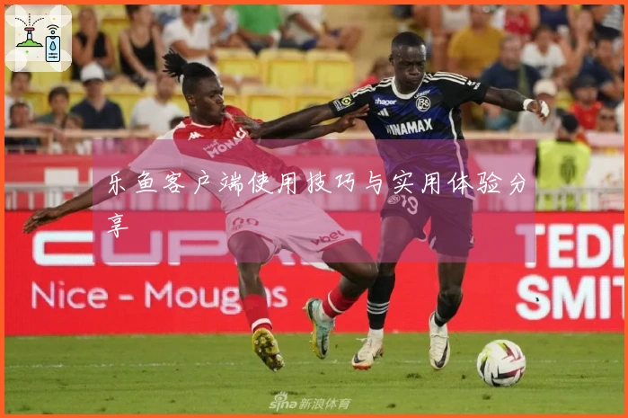 乐鱼客户端使用技巧与实用体验分享