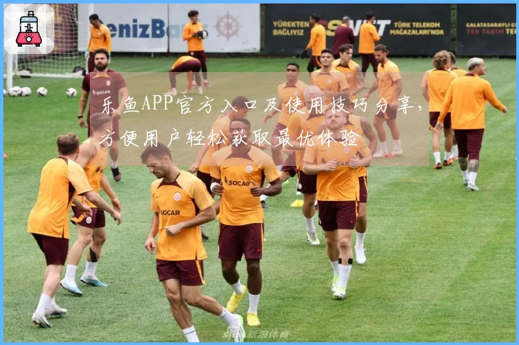 乐鱼APP官方入口及使用技巧分享,方便用户轻松获取最优体验