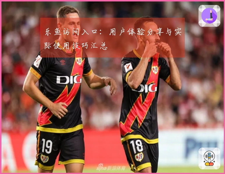 乐鱼访问入口：用户体验分享与实际使用技巧汇总