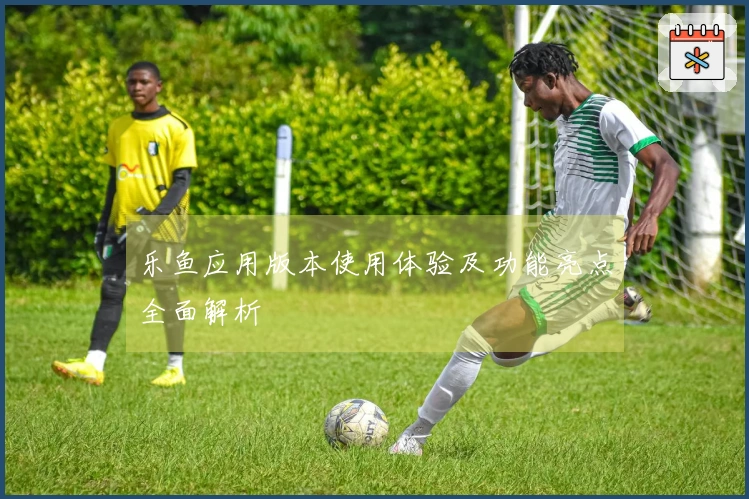 乐鱼应用版本使用体验及功能亮点全面解析