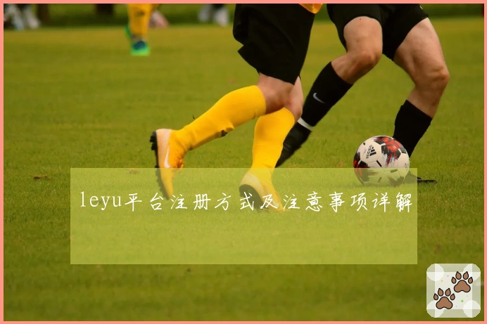 leyu平台注册方式及注意事项详解