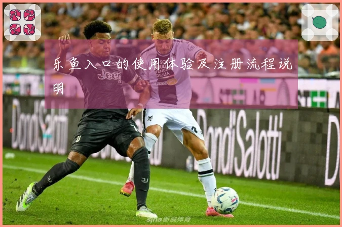 乐鱼入口的使用体验及注册流程说明