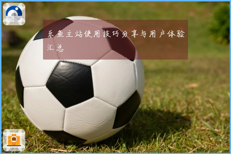 乐鱼主站使用技巧分享与用户体验汇总
