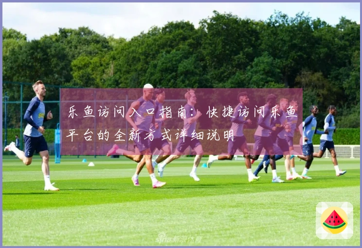 乐鱼访问入口指南：快捷访问乐鱼平台的全新方式详细说明